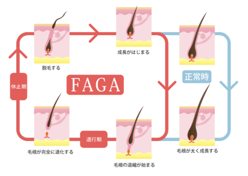 faga_system