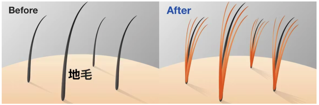 マイヘアプラス