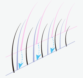 プラスタライン