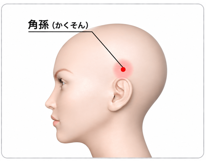 角孫のイメージ